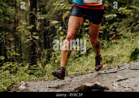 Beine Frauen runner läuft Wald Frühjahr verschmutzt trail Marathon Stockfoto