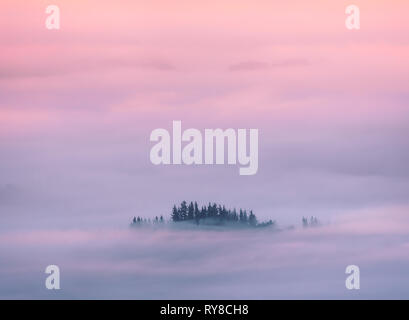 Verträumte Landschaft Hintergrund mit Bäumen durch Nebel bei Sonnenaufgang umgeben Stockfoto