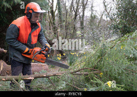 Forstwirtschaft Skills: Menschen, die in einem eintägigen Workshop in die Pflege und sicher eine Kettensäge. Wales UK Stockfoto