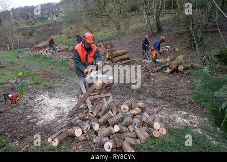 Forstwirtschaft Skills: Menschen, die in einem eintägigen Workshop in die Pflege und sicher eine Kettensäge. Wales UK Stockfoto