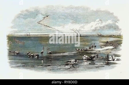 Den Isthmus von Suez Canal maritime: See Menzaleh 1869 Stockfoto