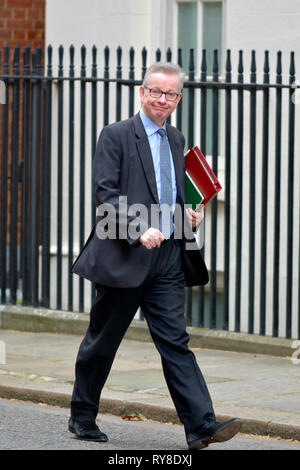 Michael Gove MP (Con: Surrey Heath - Staatssekretär für Umwelt, Ernährung und Angelegenheiten des ländlichen Raums) in Downing Street, 11. März 2019 Stockfoto