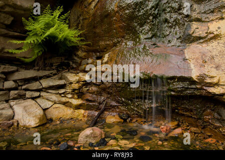 Farbe Creek, Fayette County, West Virginia, USA Stockfoto