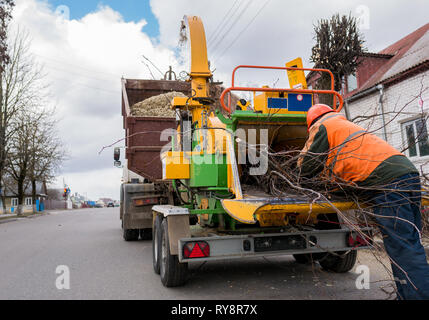 Arbeiter setzen Äste in einen Chipper Truck. Stockfoto