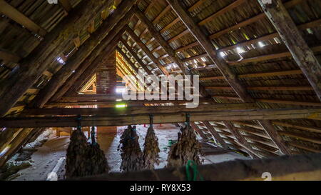 Eine kleine cockloft oder Dachboden eines alten Hauses mit vielen Spinnweben und Schmutz im Inneren Stockfoto