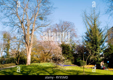 BRD, Hessen, Wiesbaden, im Kurpark Stockfoto