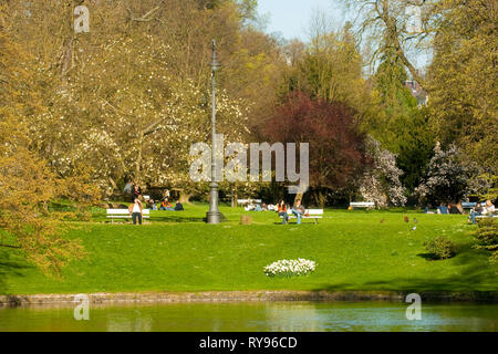 BRD, Hessen, Wiesbaden, im Kurpark Stockfoto