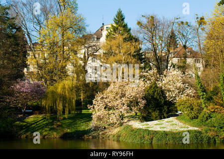 BRD, Hessen, Wiesbaden, im Kurpark Stockfoto