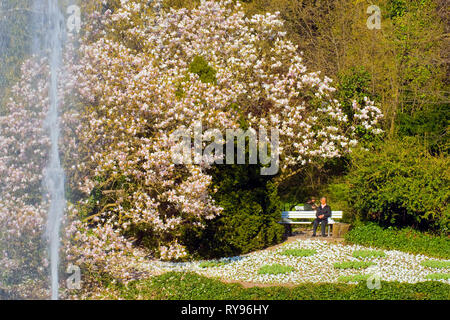 BRD, Hessen, Wiesbaden, im Kurpark Stockfoto