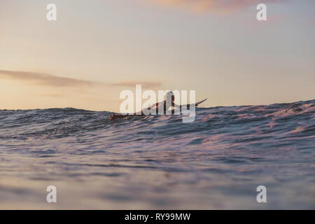 Seitliche Sicht auf fröhliche weibliche schwimmend auf Surf Board zwischen Wasser, Meer, blauer Himmel auf Bali, Indonesien Stockfoto