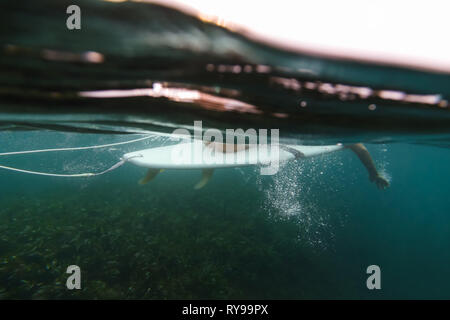 Seitenansicht des Ernteguts weiblichen schwimmend auf Surf Board zwischen dem blauen Wasser des Meeres auf Bali, Indonesien Stockfoto