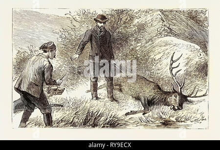 Keine Notwendigkeit für den Coup de Grace, Gravur 1884, Jagd, Jagd Stockfoto