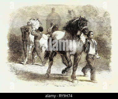 Skizze aus 'Horse Fair Stockfoto