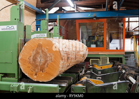 Auf Förderband in Lumber factory Log Stockfoto