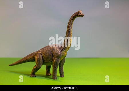 Spielzeug Dinosaurier in einem Spielzeug Wald. wie ein echter T-Rex auf einem hellen Studio Hintergrund mit Holz- bäumen. Eco Spielzeug. Stockfoto