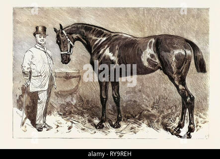 St. Simon, Sieger des Goodwood Cup, Gravur 1884 Stockfoto