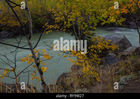Takhini River, Kluane Region, Yukon Territory, Kanada Stockfoto