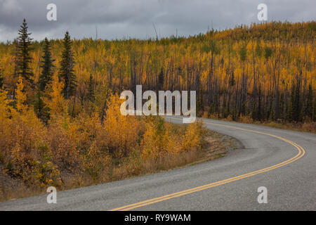 Klondike Highway, Klondike, Yukon Territory, Kanada Stockfoto