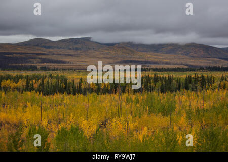 Klondike Highway, Klondike, Yukon Territory, Kanada Stockfoto