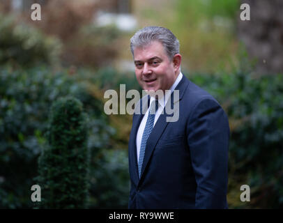 Brandon Lewis, Konservative Partei Vorsitzender und Minister ohne Portfolio, kommt in der Downing Street für eine Sitzung. Stockfoto