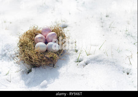 Eine Wiese ist mit Schnee bedeckt. Ein natürliches Nest aus Heu enthält weißen und rosa schimmerndem Glas Ostereier. Platz kopieren Stockfoto