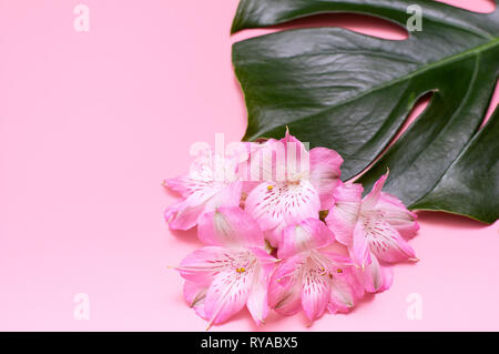 Tropische Blumen auf einem rosa Hintergrund. Konzept Sommer Hintergrund mit Blumen. Zart rosa Blüten. Stockfoto