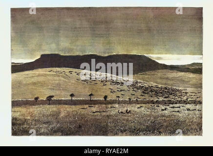 Der Krieg im Sudan (Sudan): das Schlachtfeld von Abu Klea nach dem britischen Sieg, 17. Januar 1885 Stockfoto