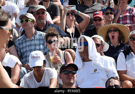 März 10, 2019 - St. Petersburg, Florida, United States-Racing Fans auf der Tribüne genießen Sie die Firestone Grand Prix in St. Petersburg am 10. März 2019 in St. Petersburg, Florida. Das Rennen wurde von Josef Newgarden der Vereinigten Staaten gewonnen. (Paul Hennessy/Alamy) Stockfoto