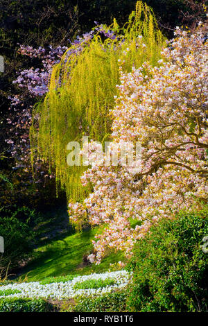 BRD, Hessen, Wiesbaden, im Kurpark Stockfoto