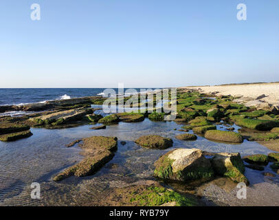 Bustan HaGalil Sandstrand mit Felsen in der Nähe von Akko Haifa, Israel. Akko Meer Mittelmeer. Klares Wasser Steine mit Algen bedeckt. Blau sonnigen Himmel Stockfoto