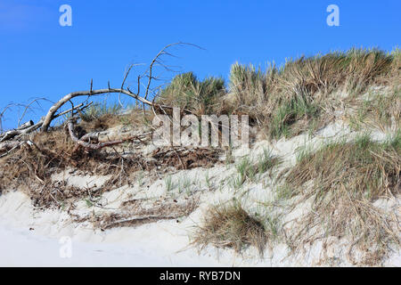 Pause-Linie von einer Düne auf der Nordseeinsel Sylt Stockfoto