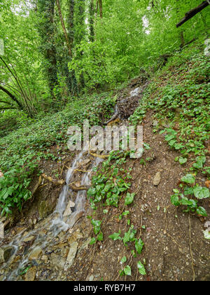 Der Strom fließt durch den Berg im Frühjahr Wald. Berge im Frühling. Stockfoto