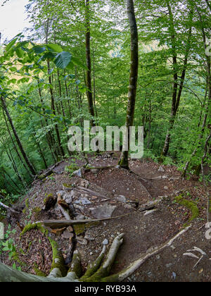 Wanderweg stammt aus einer sehr steilen Hang im Frühjahr Wald. Berge im Frühling. Stockfoto