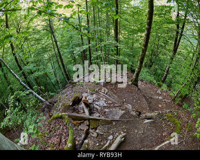 Wanderweg stammt aus einer sehr steilen Hang im Frühjahr Wald. Berge im Frühling. Stockfoto