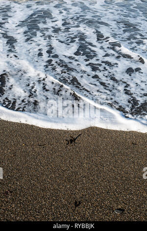 Flut in Aberystwyth Beach. Stockfoto