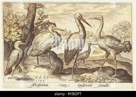 Storch, Kranich, Reiher und Löffler, Nicolaes de Bruyn, 1594 Stockfoto
