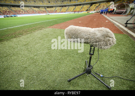 Haarige Bügelmikrofon auf dem Rasen des Fußballstadions Stockfoto