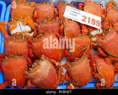 Helles orange ganze gekochte Krabben auf Eis in einem Container an einem Seafood Market in Australien Stockfoto