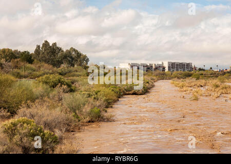 Braunes Wasser fließt durch trockenen Pinsel in Tucson Rillito Stockfoto