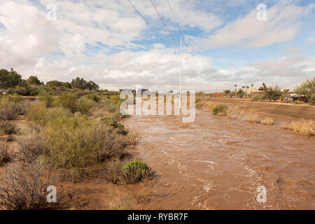 Hochwasser nach starken Regenfällen fließt durch Tucson's Rillito Fluss Stockfoto
