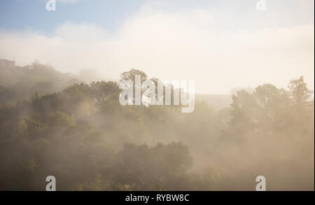 Große Haus auf dem Hügel von Nebel und Bäume im Sonnenaufgang umgeben Stockfoto