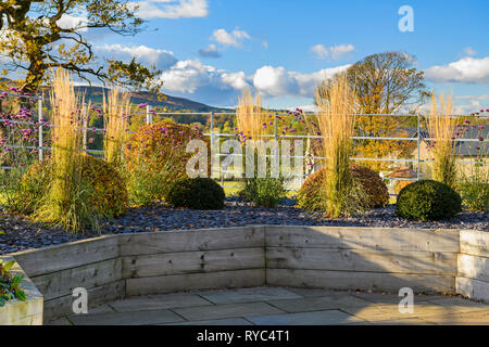 Herbstfarben im herrlichen, privaten Garten, Yorkshire, England, UK-elegantes, modernes Design, Landschaftsgestaltung und Bepflanzung von Schnittholz angehobenen Betten. Stockfoto