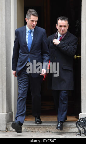 Verteidigungsminister Gavin Williamson (links) und Welsh Sekretär Alun Cairns, lassen nach einem Treffen in der Downing Street, London, vor weiteren Debatten im Unterhaus auf Brexit. Stockfoto