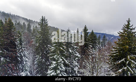 Atemberaubende drone geschossen von einer verschneiten Bergwald. Die Top-down-drohne Schuß Schüsse verschneiten Pfaden, die sich durch einen Wald nach frischem Schneefall. Stockfoto