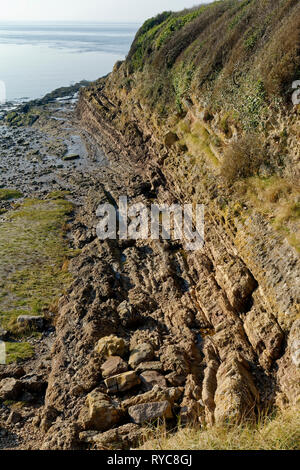 Steile Gesteinsschichten in Battery Point, Portishead, North Somerset, UK Ebbe auf einer sehr ruhigen Winter Tag Stockfoto