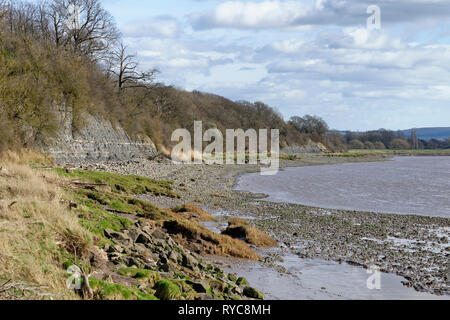 Jurassic Blau Lias Felsen am Sprunggelenk Klippe, Fretherne, Gloucestershire, VEREINIGTES KÖNIGREICH Stockfoto