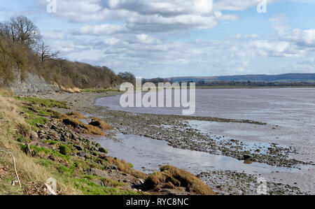 Jurassic Blau Lias Hock Klippe, Fretherne, Gloucestershire, VEREINIGTES KÖNIGREICH Stockfoto