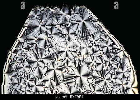 Wissenschaft und Kunst Dies ist Ascorbinsäure, bekannt als Vitamin C, in kristallisierter Form fotografiert bekannt. Stockfoto