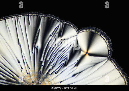 Crystal Art. Dies ist Ascorbinsäure, bekannt als Vitamin C, in kristallisierter Form fotografiert bekannt Stockfoto
