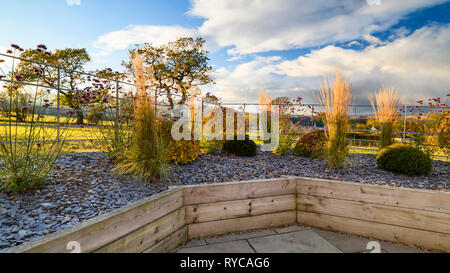 Herbstfarben im herrlichen, privaten Garten, Yorkshire, England, UK-elegantes, modernes Design, Landschaftsgestaltung und Bepflanzung von Schnittholz angehobenen Betten. Stockfoto